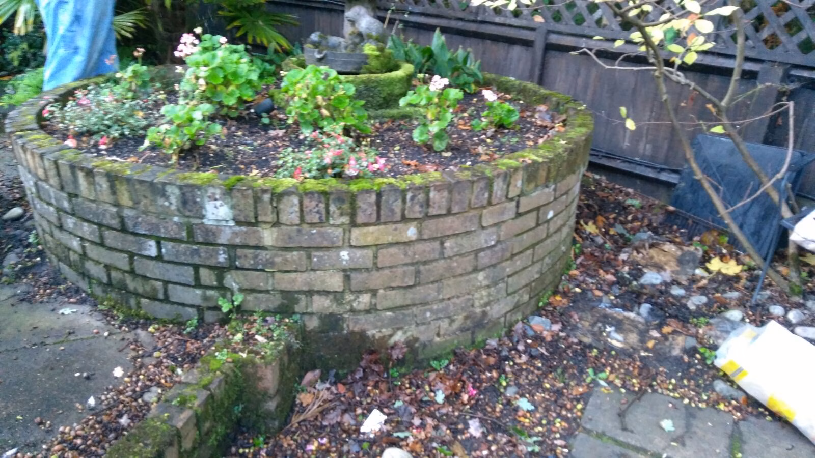 Garden Wall image 3